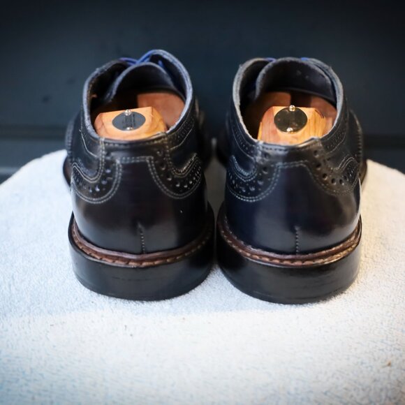 Allen Edmonds Navy Leather Wingtip Oxfords with Blue Laces main image 15